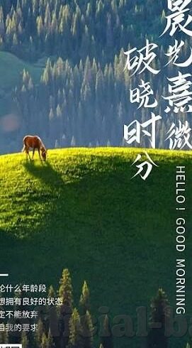 国产91麻豆精品视频-出人意料的网络邂逅,国产91麻豆精品视频背后的多元文化圈