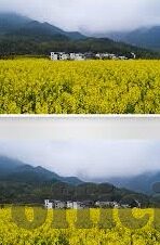 蜜桃传媒视频麻豆-褪去浮华,窥探浅显,蜜桃传媒视频中麻豆现象的反思